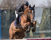 Del Signore Lordiana TosTour 2013- S5 3347 : Arezzo Equestrian Centre, Del Signore Michol, Lordiana, Toscana Tour 2013, foto di Stefano Secchi ©